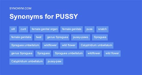 pussy synonyms|PUSSY